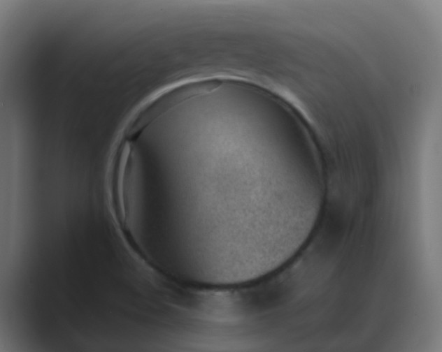 X0000089461508200706291452