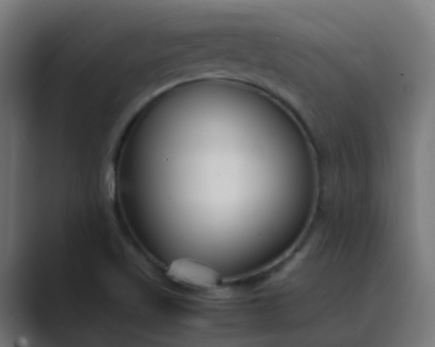 X0000089461509200706291452