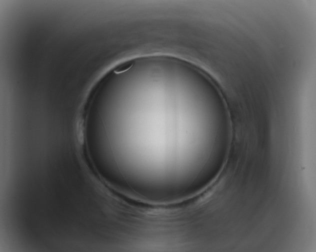 X0000089461510200706291452