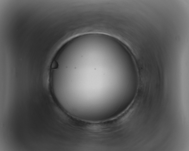 X0000089461511200706291452