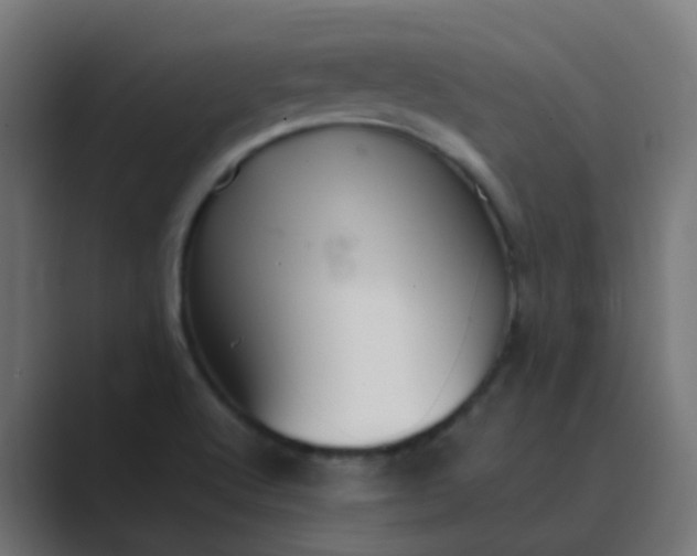 X0000089461512200706291452