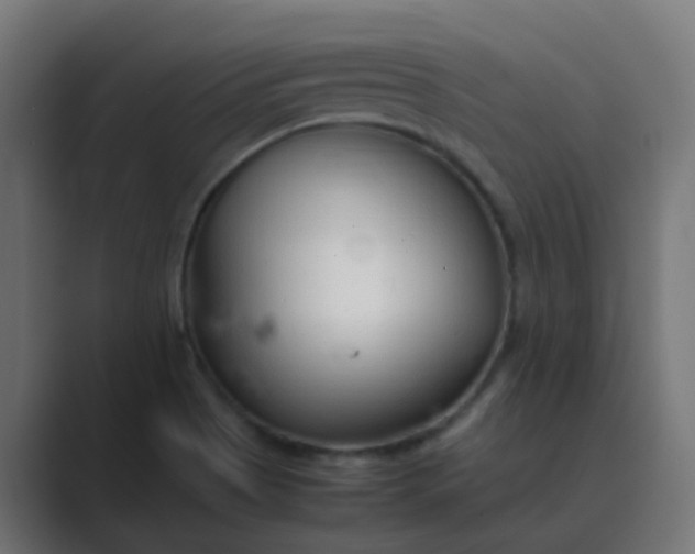 X0000089461513200706291452