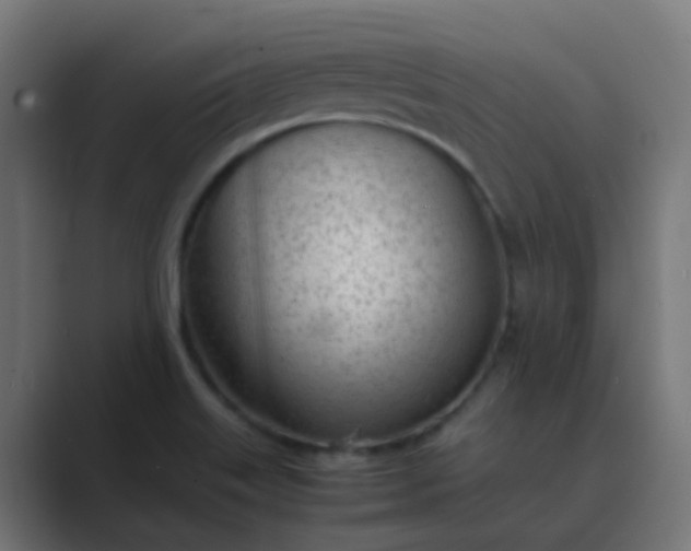 X0000089461515200706291452