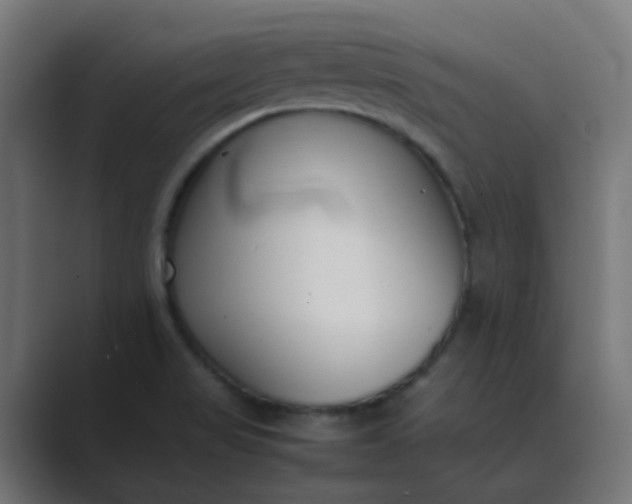 X0000089461517200706291452