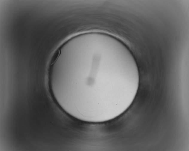X0000089461518200706291452