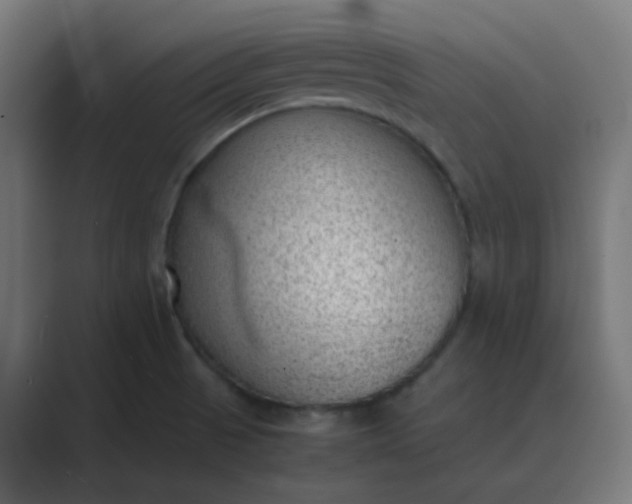 X0000089461521200706291452