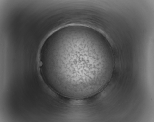 X0000089461522200706291452