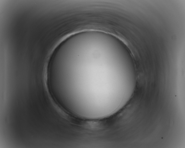X0000089461523200706291452