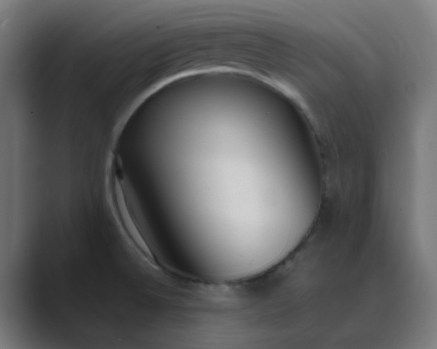 X0000089461524200706291452