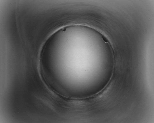 X0000089461525200706291452