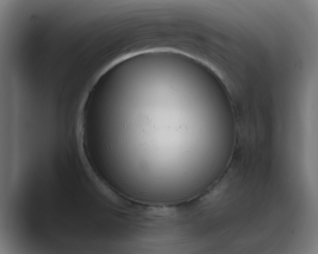 X0000089461526200706291452