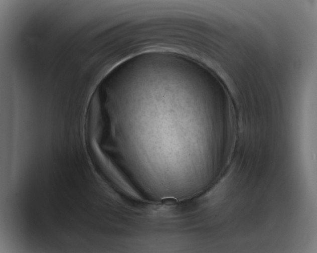 X0000089461529200706291452