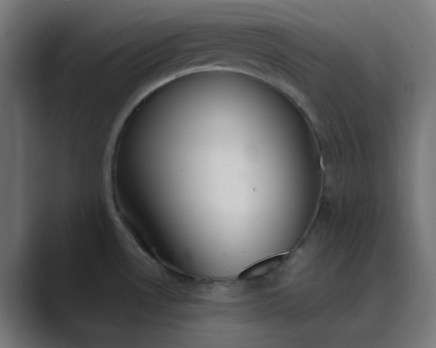 X0000089461530200706291452
