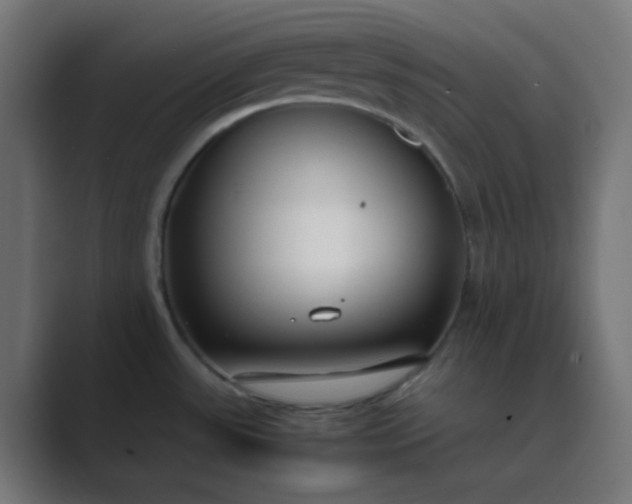 X0000089461531200706291452