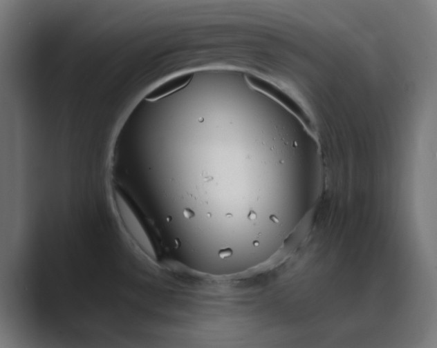 X0000089461532200706291452