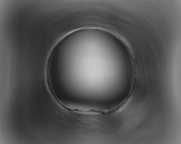 X0000089461533200706291452