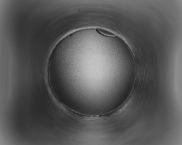 X0000089461534200706291452