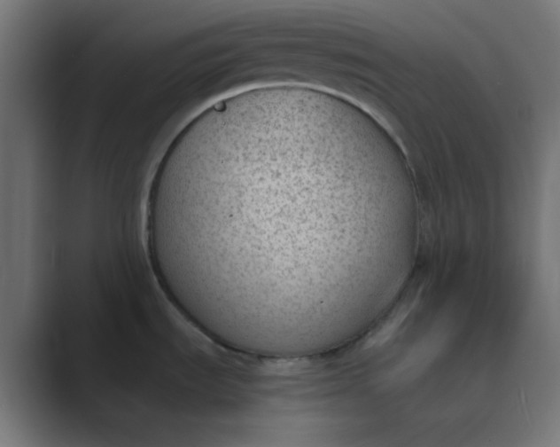 X0000089461535200706291452