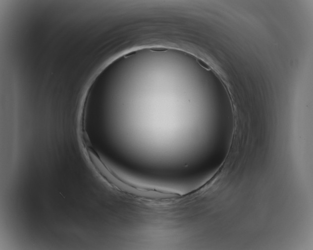 X0000089461536200706291452