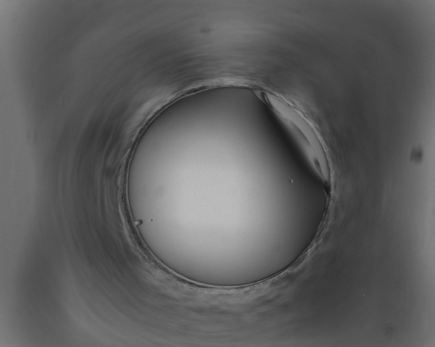X0000089460001200707061312