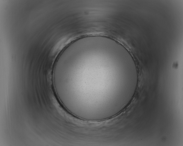 X0000089460002200707061312
