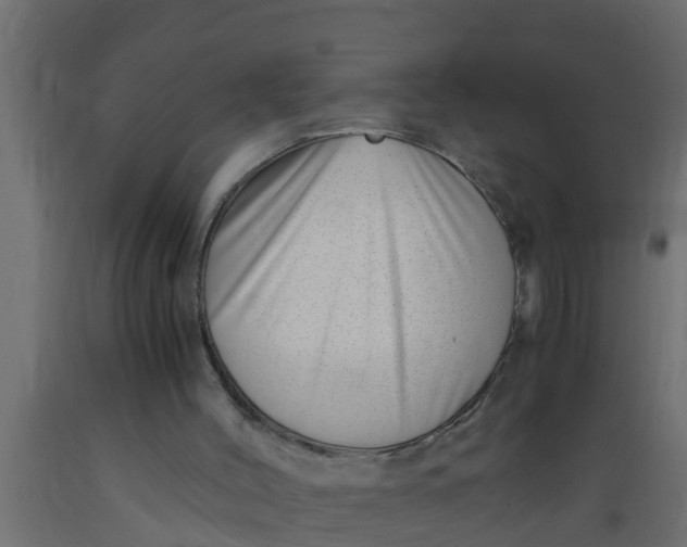 X0000089460004200707061312
