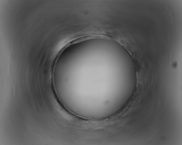 X0000089460005200707061312