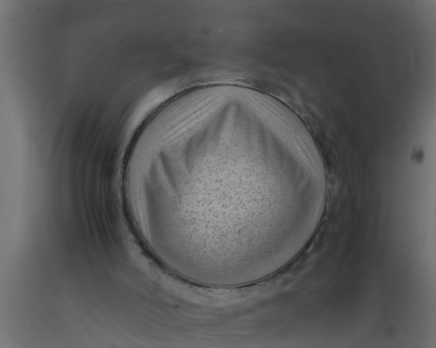 X0000089460006200707061312