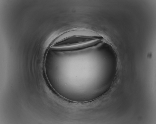 X0000089460007200707061312