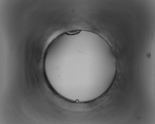 X0000089460008200707061312