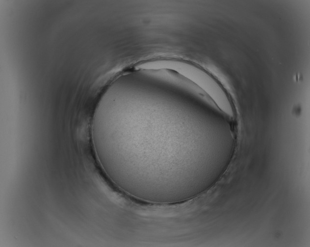 X0000089460009200707061312