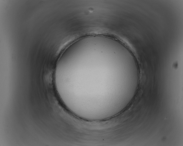 X0000089460010200707061312
