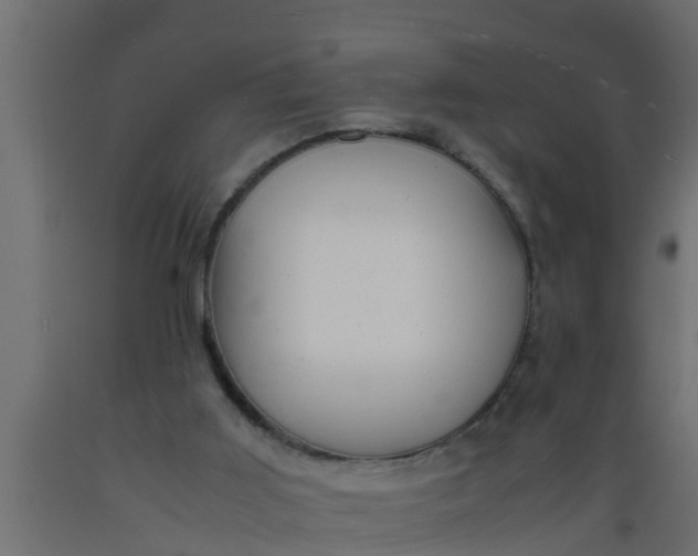 X0000089460011200707061312