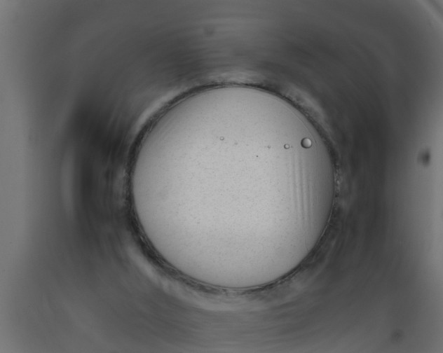 X0000089460012200707061312
