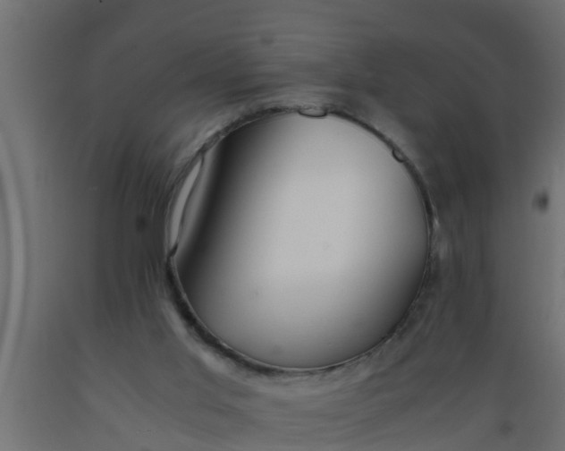 X0000089460013200707061312