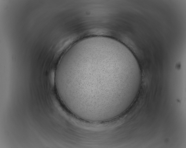 X0000089460014200707061312