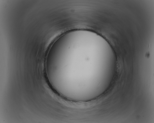 X0000089460015200707061312