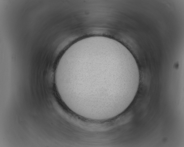 X0000089460016200707061312