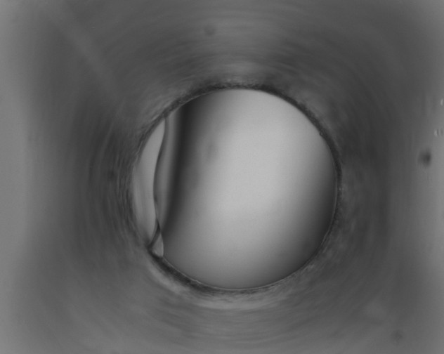 X0000089460017200707061312