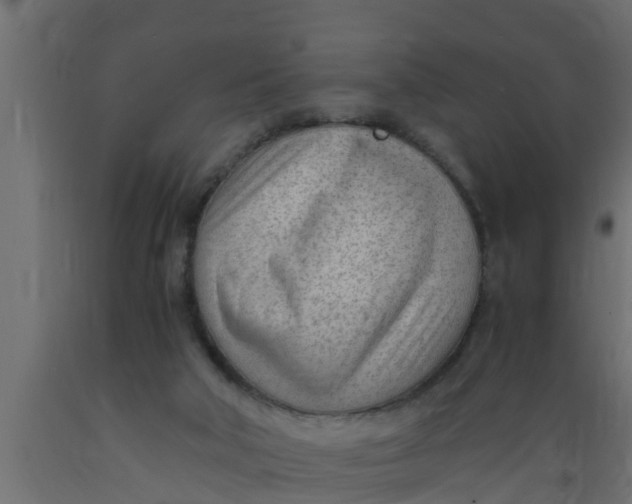 X0000089460018200707061312