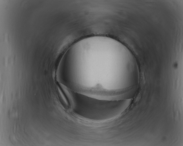 X0000089460019200707061312