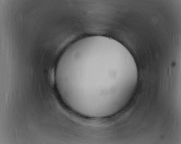 X0000089460020200707061312