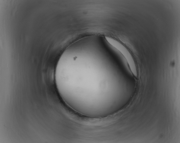 X0000089460021200707061312