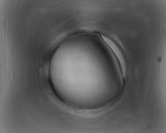 X0000089460023200707061312