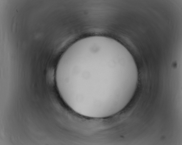 X0000089460024200707061312