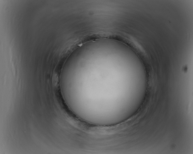 X0000089460025200707061312