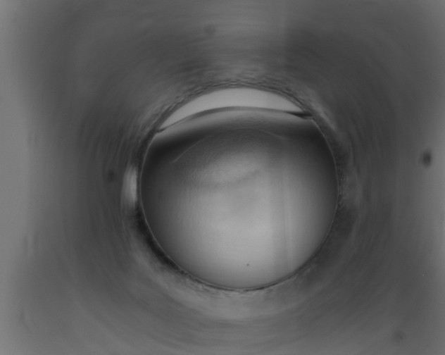 X0000089460027200707061312