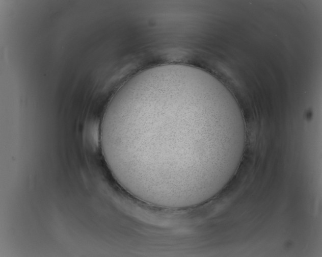 X0000089460028200707061312