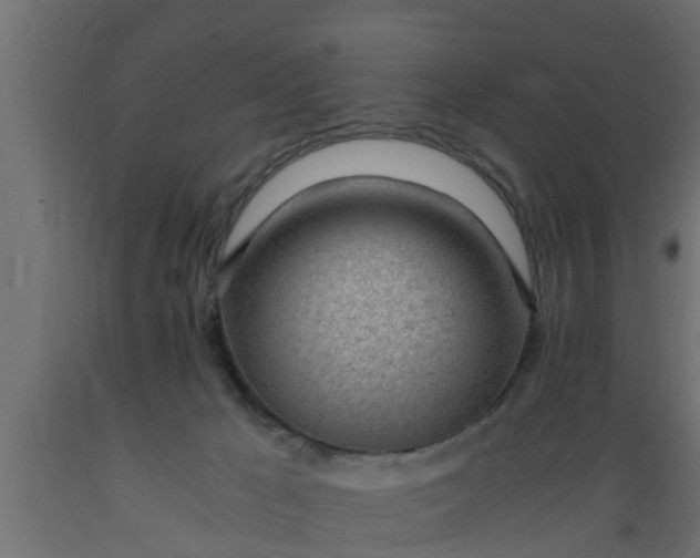 X0000089460029200707061312