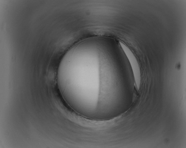 X0000089460031200707061312